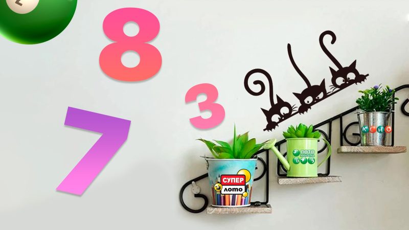 Как сорвать джекпот без сложных вычислений: приметы игроков в лотерею