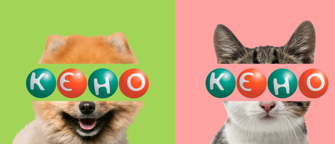 Правила гри в КЄНО і навіть більше: історія, види, корисні поради