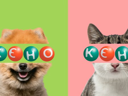 Правила гри в КЄНО і навіть більше: історія, види, корисні поради