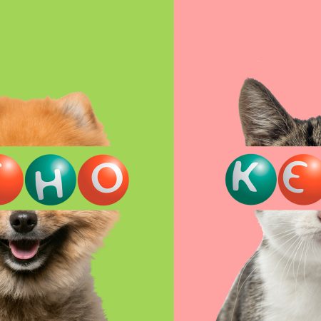 Правила гри в КЄНО і навіть більше: історія, види, корисні поради