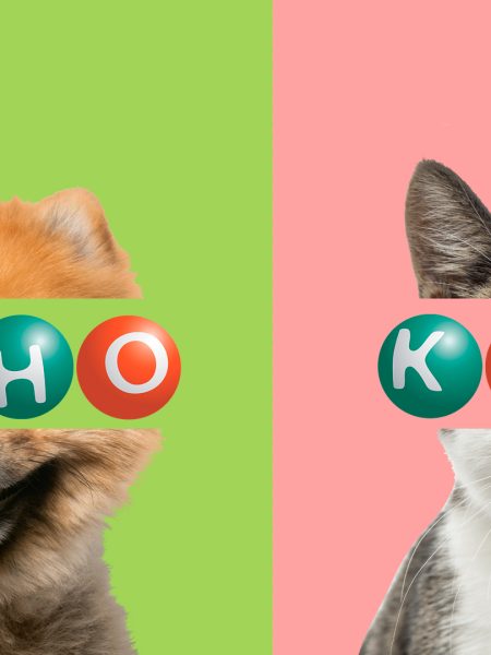 Правила гри в КЄНО і навіть більше: історія, види, корисні поради