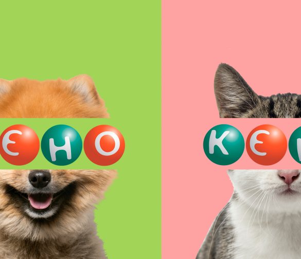 Правила гри в КЄНО і навіть більше: історія, види, корисні поради